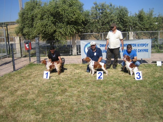 17th National Breed Show